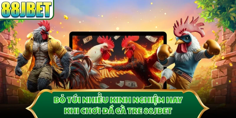 Bỏ túi nhiều kinh nghiệm hay khi chơi đá gà tre 88JBET