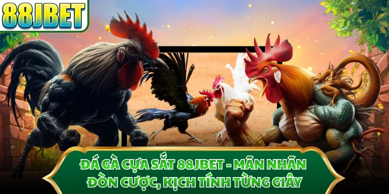 Đá Gà Cựa Sắt 88JBET - Mãn Nhãn Đòn Cược, Kịch Tính Từng Giây