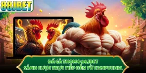 Đá Gà Thomo 88JBET - Sảnh Cược Trực Tiếp Đến Từ Campuchia