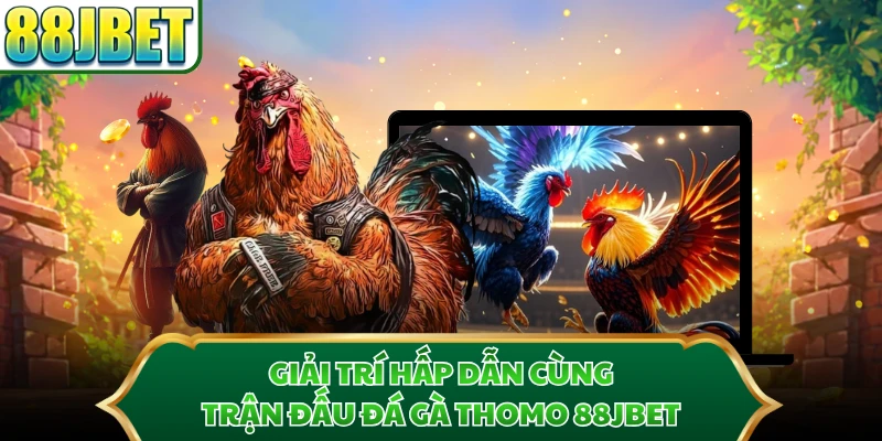 Giải trí hấp dẫn cùng trận đấu đá gà Thomo 88JBET