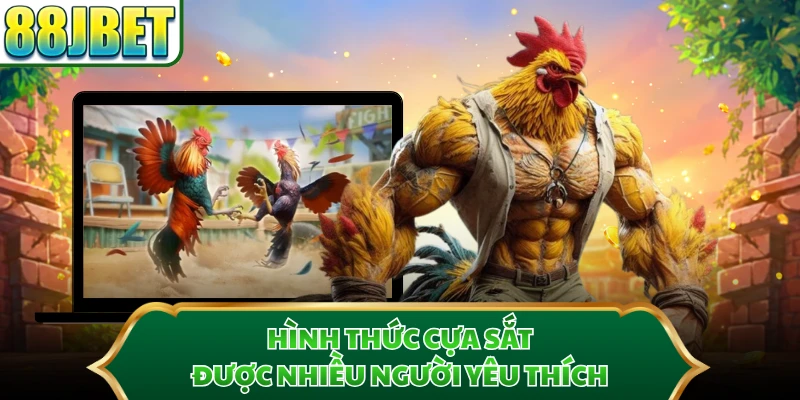 Hình thức cựa sắt được nhiều người yêu thích