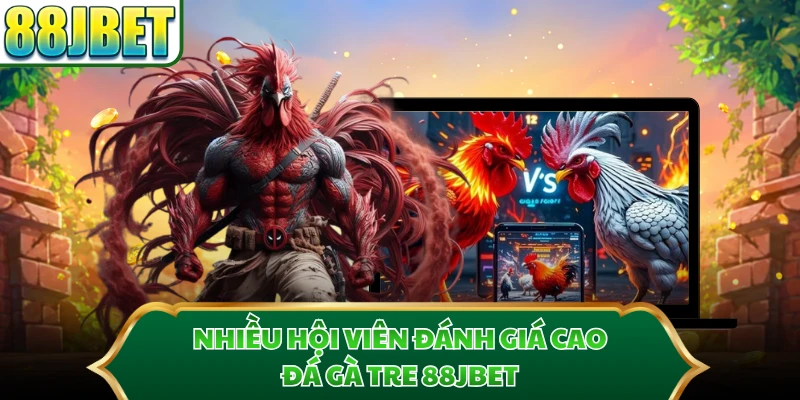 Nhiều hội viên đánh giá cao đá gà tre 88JBET
